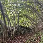 Treselcorral Locanda