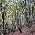 Treselcorral Sotres