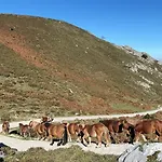 Locanda Treselcorral