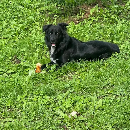 Herberg Treselcorral