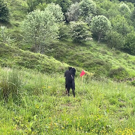 Treselcorral Herberg *