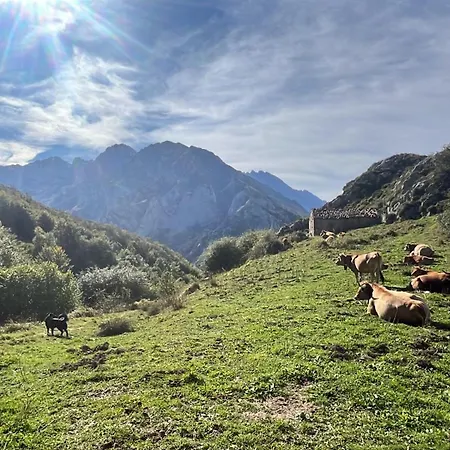 Treselcorral 宾馆 索特雷斯