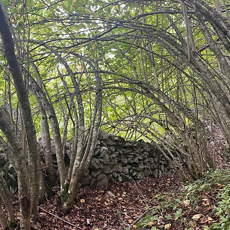 Treselcorral Herberg