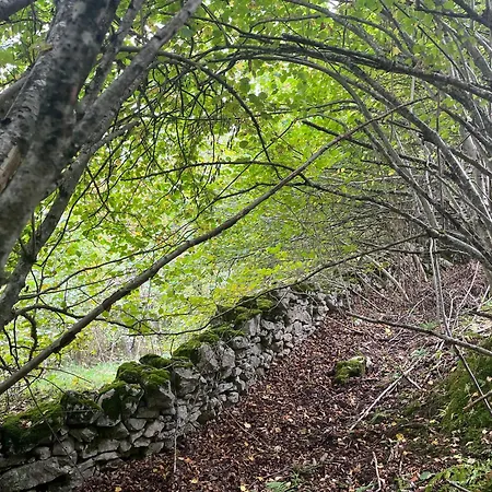 Gasthof Treselcorral *