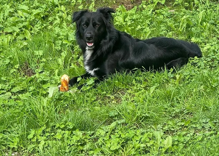 Gasthof Treselcorral