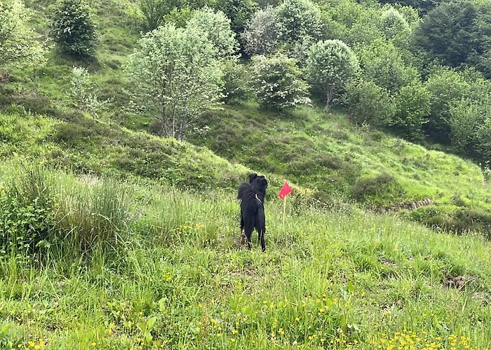 Treselcorral Gasthof *