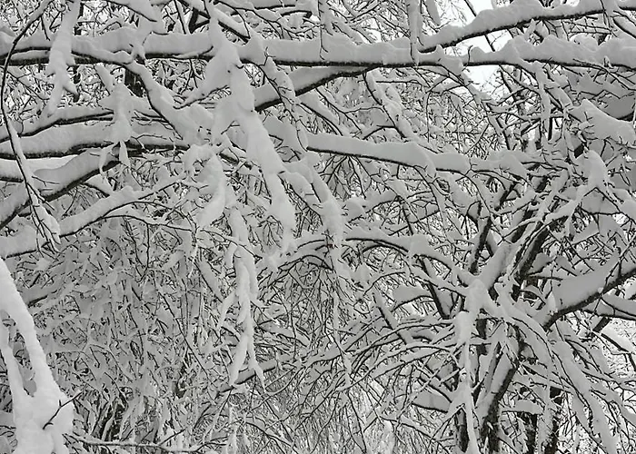 Treselcorral Gasthof *