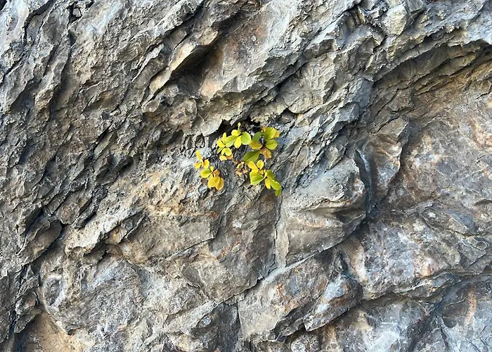 Treselcorral Gasthof