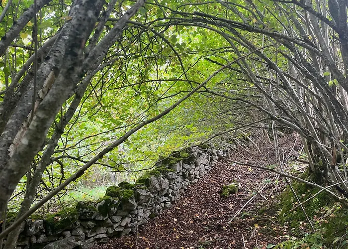 Gasthof Treselcorral *